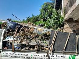 Best Hoarding Cleanup  in Roanoke, IL